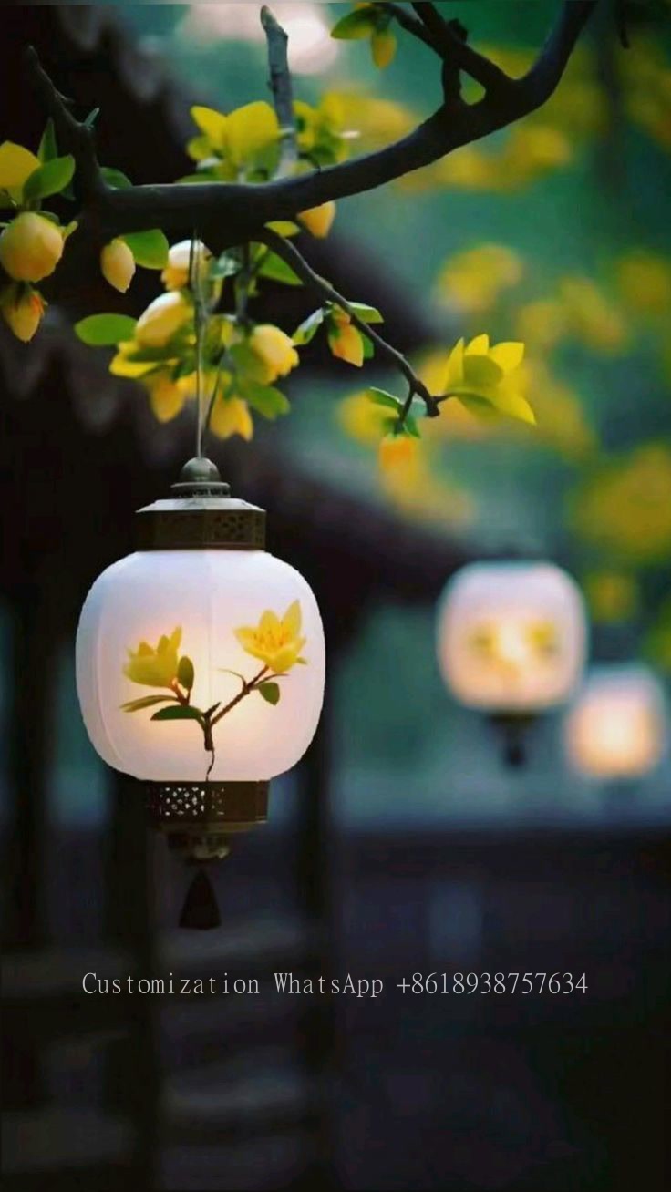 Historic Charm Meets Modern Function: The Best Lanterns for Street Lighting